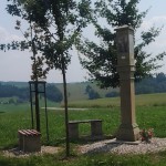 2013-07-10 13.46.43